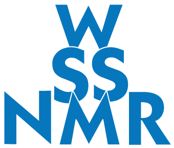 ss NMR