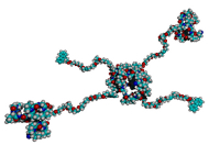 oligopeptid