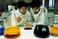 UNESCO/IUPAC