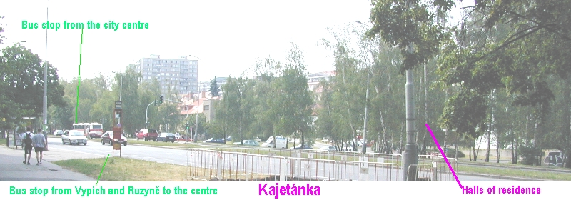 Kajetnka with bus stops