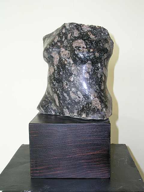 Obrázek:Dzintra Vilmare: Torso