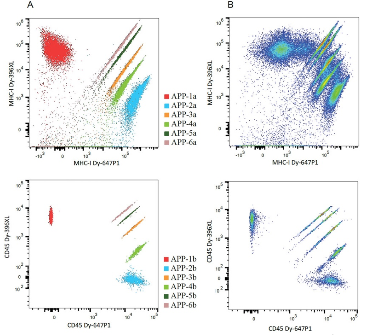 Fluorescent barcoding using polymer probes developed at the IMC CAS
