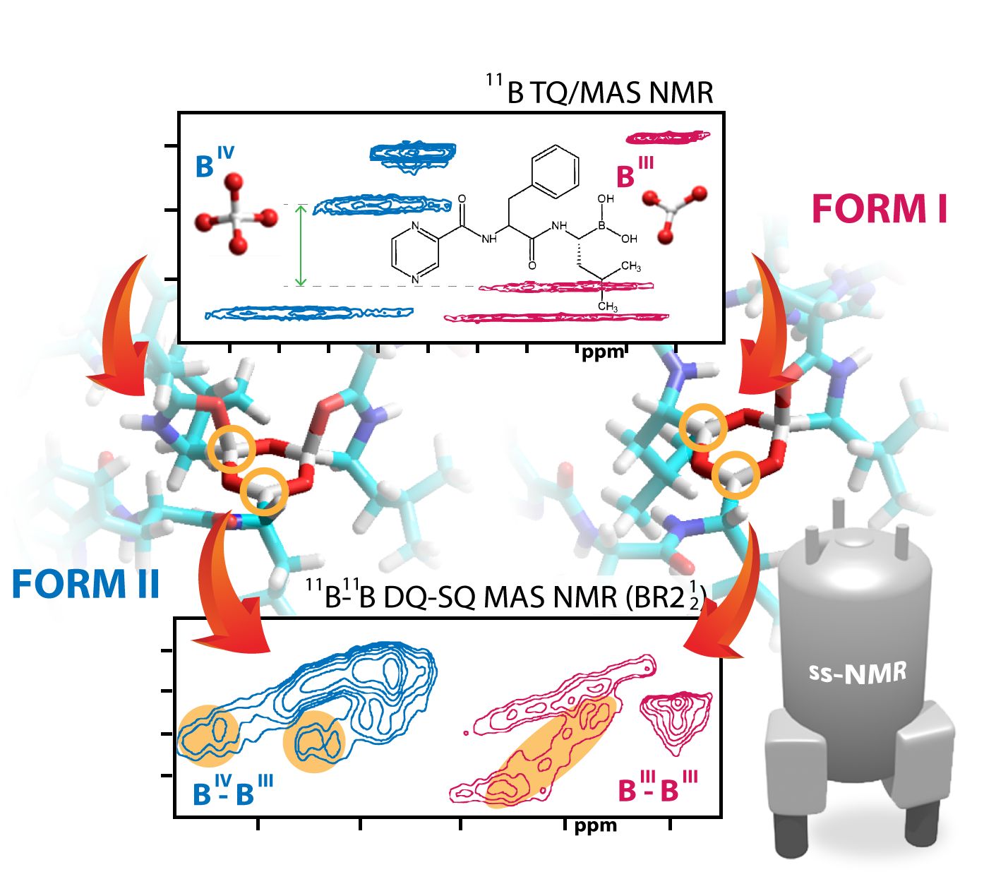 2D 11B TQ/MAS NMR spektrum bortezomibu