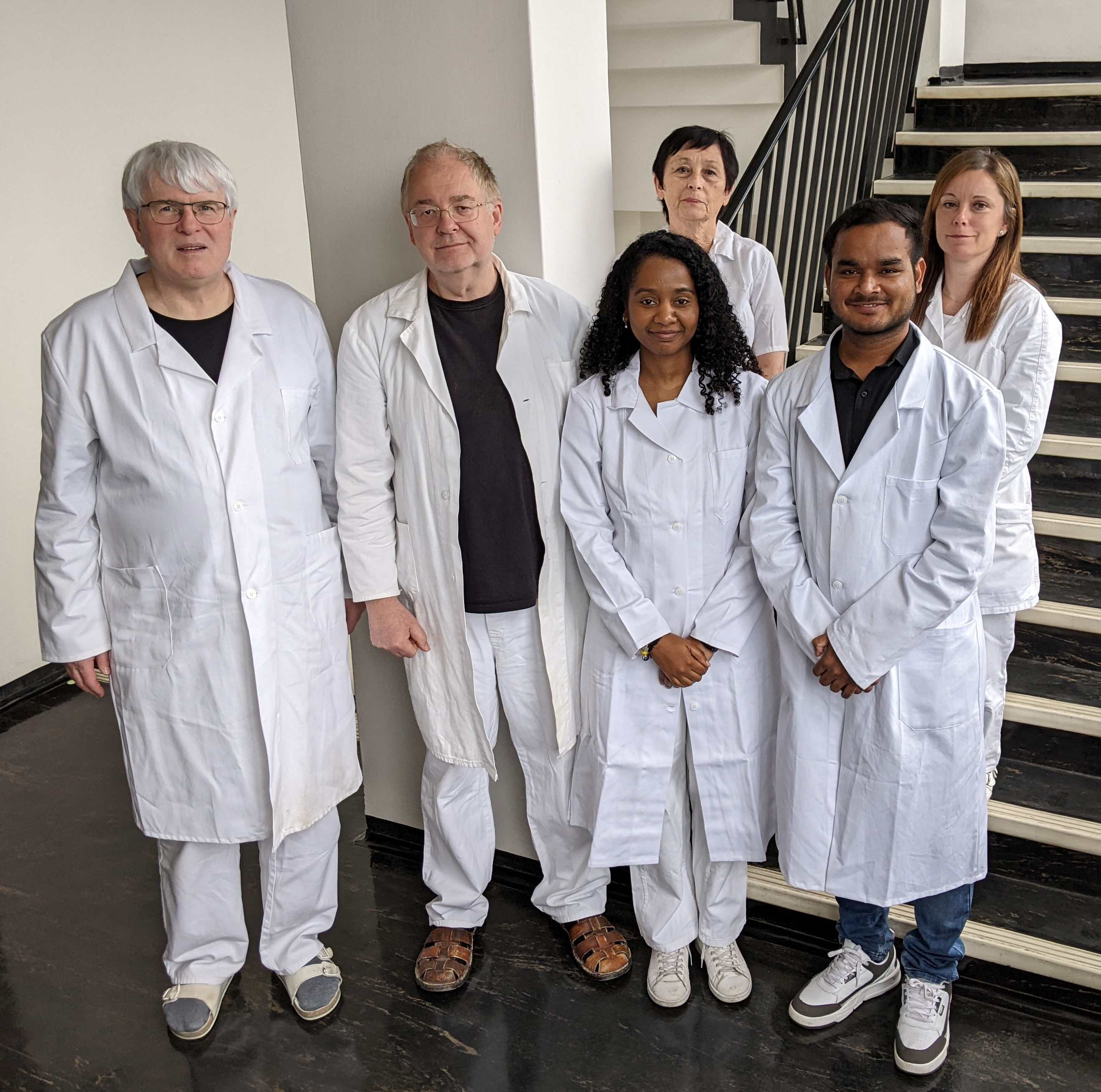Staff - Common photo
