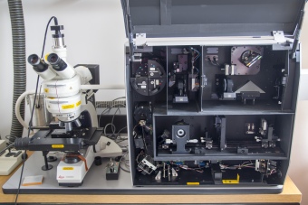 Raman microspectrometer Renishaw inVia