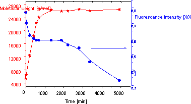 Time dependence of molecular weight and fluorescence