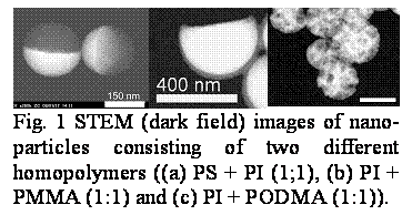 Textové pole:  
Fig. 1 STEM (dark field) images of nano-particles consisting of two different homopolymers ((a) PS + PI (1;1), (b) PI + PMMA (1:1) and (c) PI + PODMA (1:1)).