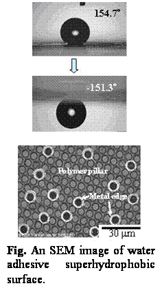 Textové pole:  

 
Fig. An SEM image of water adhesive superhydrophobic surface.