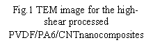 Textové pole: Fig.1 TEM image for the high-shear processed PVDF/PA6/CNTnanocomposites