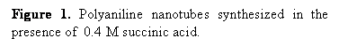 Textové pole: Figure 1. Polyaniline nanotubes synthesized in the presence of  0.4 M succinic acid.