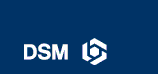 DSM logo