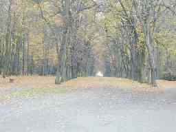 Way to Summer palace in Hvzda park